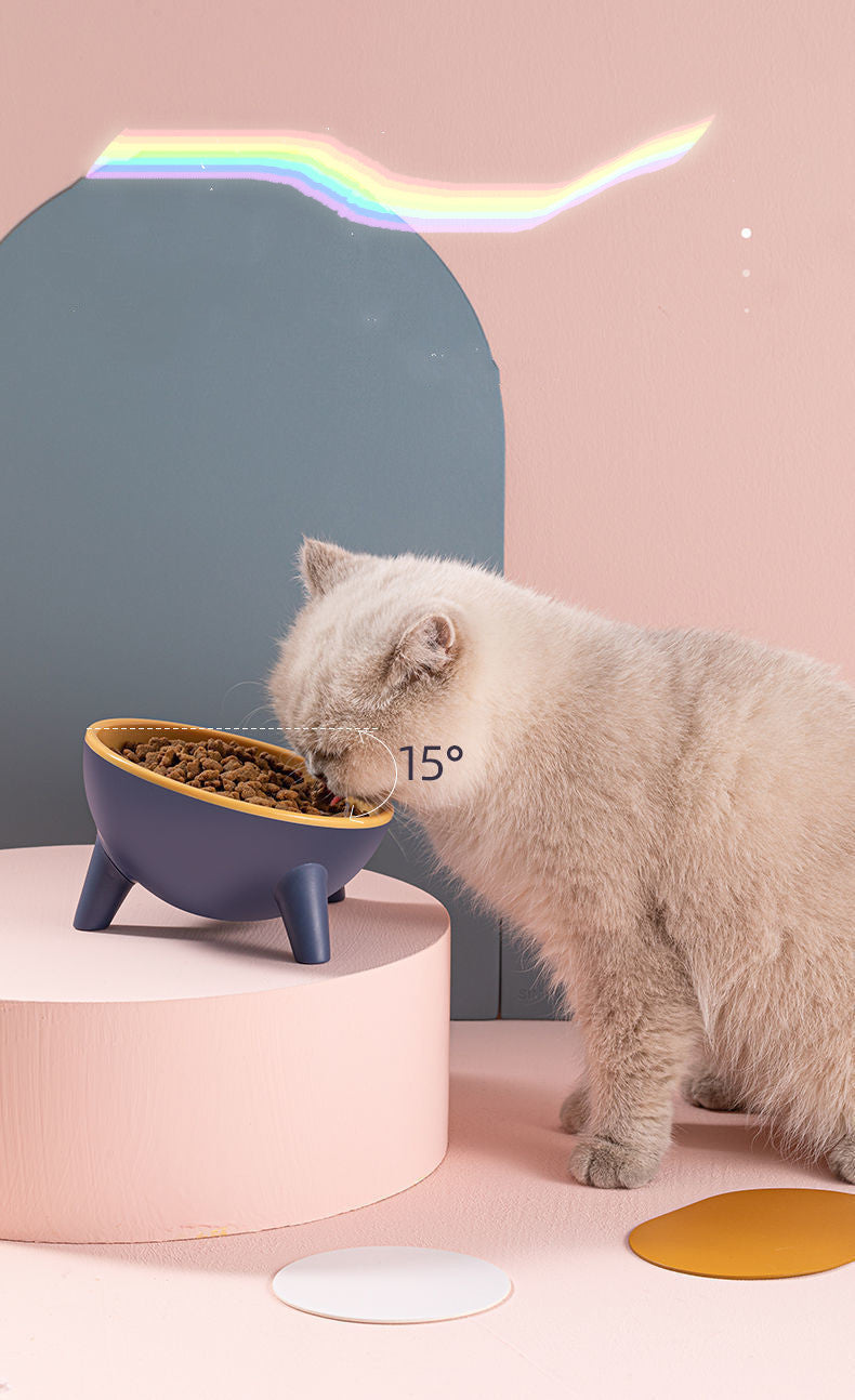 Cat Dog Bowl With Stand – 15° Tilted Elevated Nordic Feeder