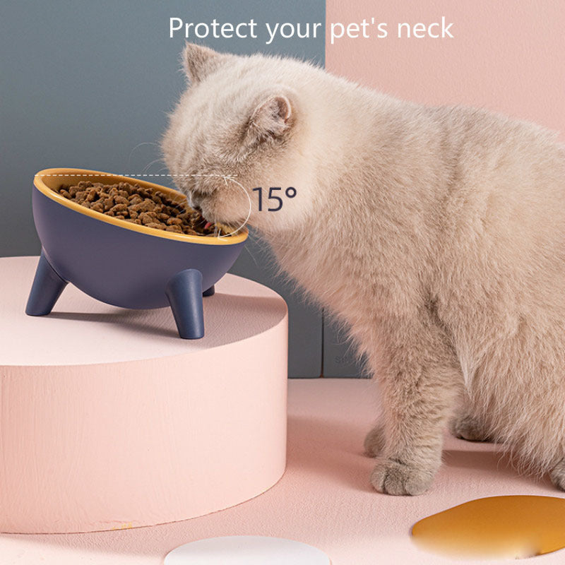 Cat Dog Bowl With Stand – 15° Tilted Elevated Nordic Feeder