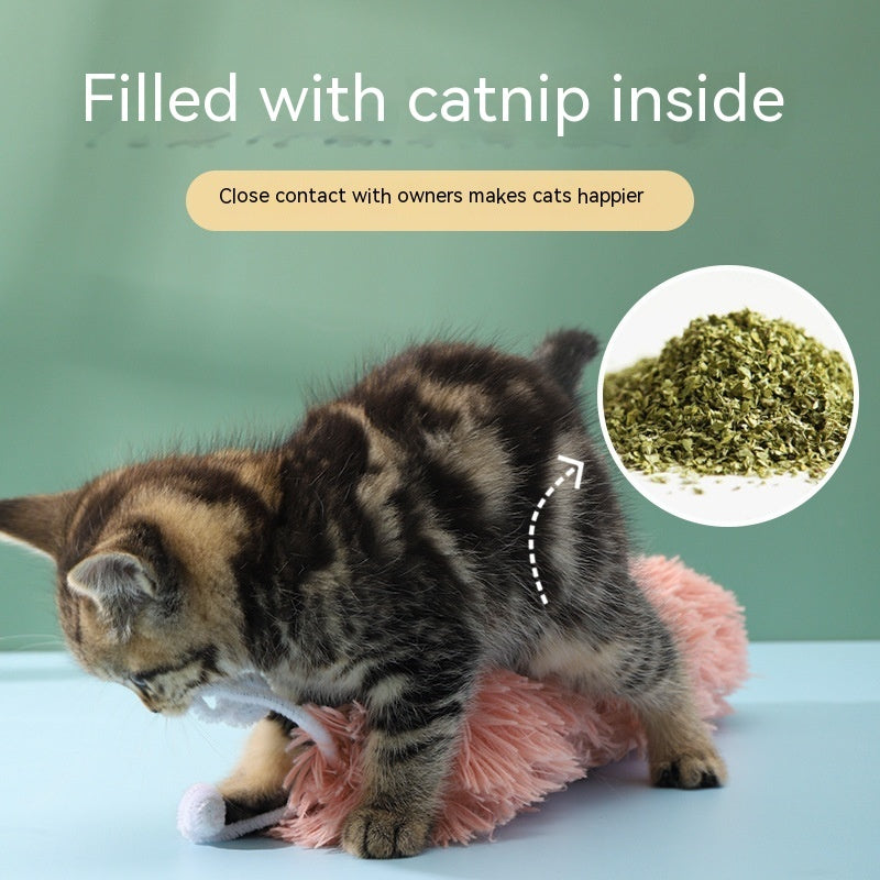 Premium Caterpillar Ringing Cat Toy