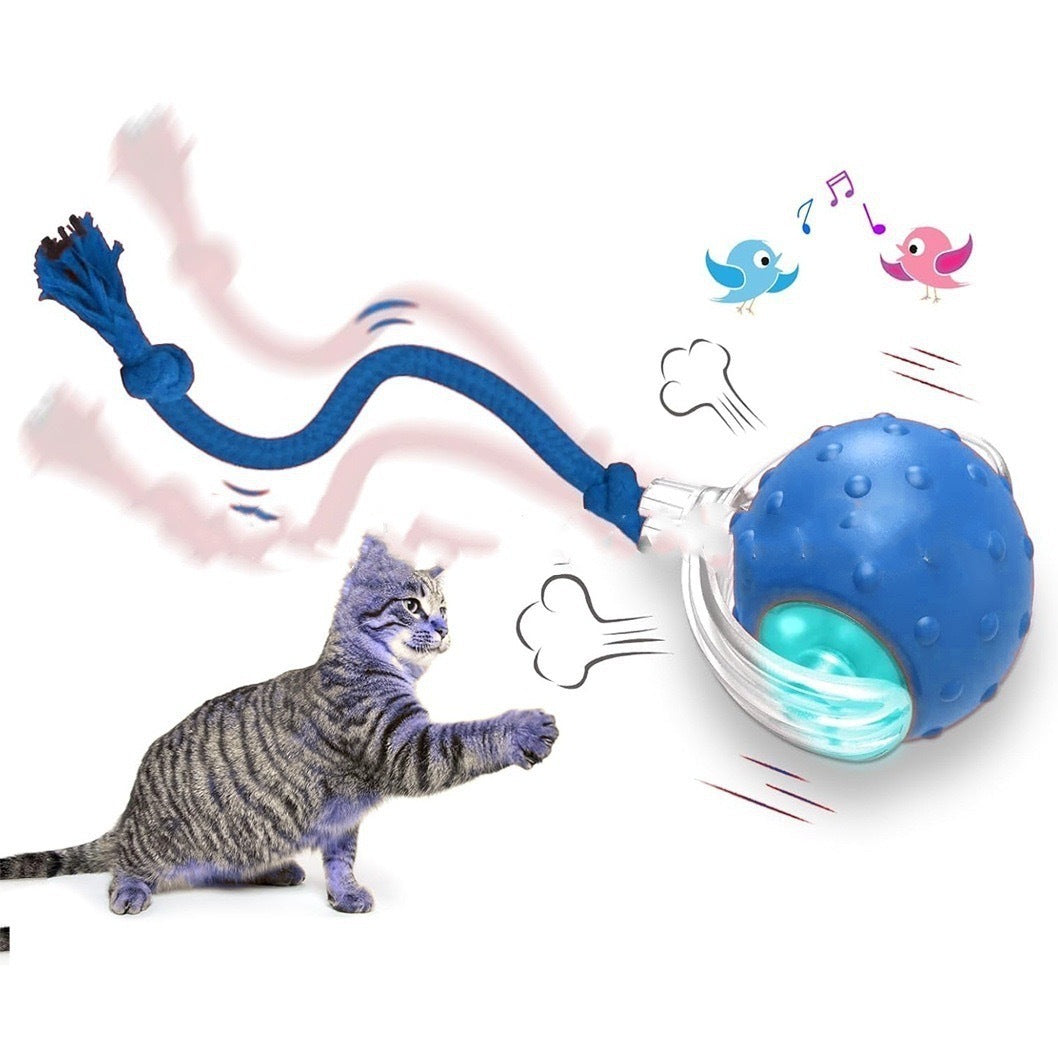 Interactive Super‑Drive Rolling Cat Ball – Rechargeable Motion-Activated Toy