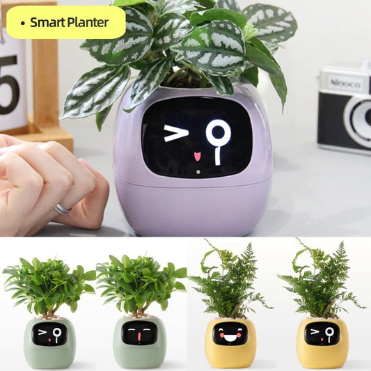 Smart Planter with 49+ AI Expressions & 7 Smart Sensors – Interactive AI Plant Pot