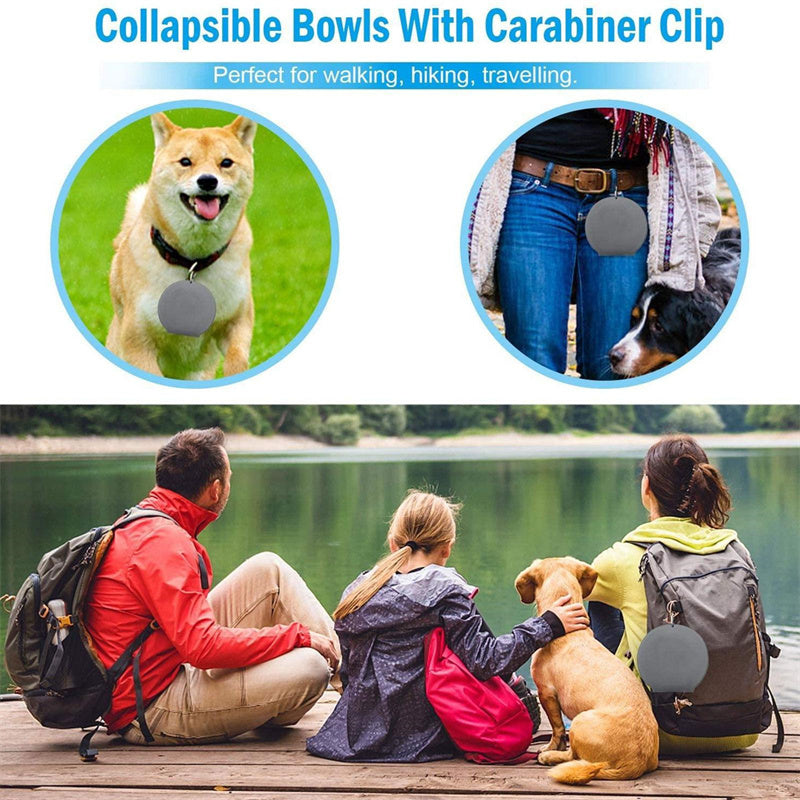 Foldable Double Pet Bowl – Compact Travel Food & Water Feeder