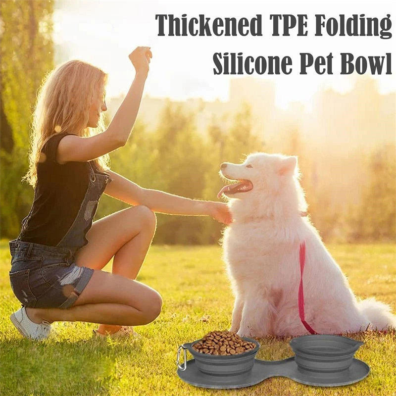 Foldable Double Pet Bowl – Compact Travel Food & Water Feeder