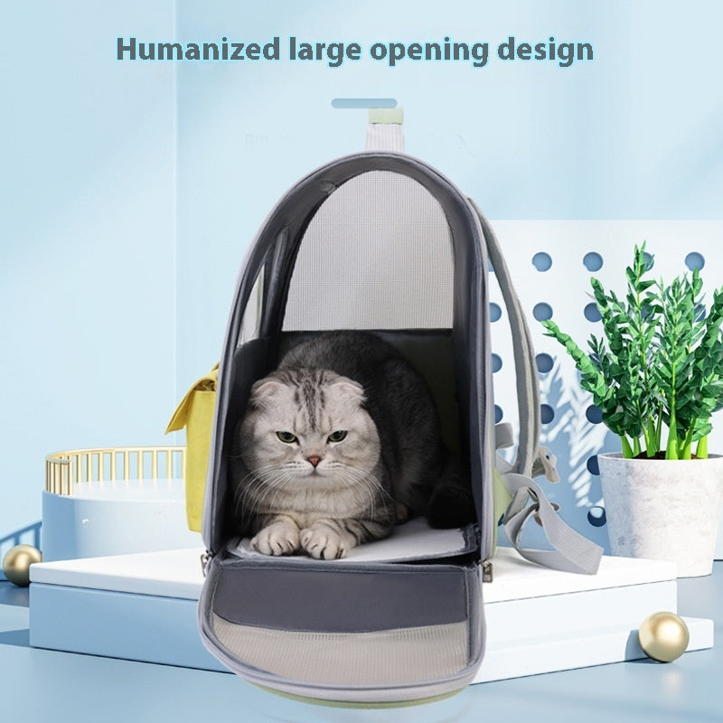 Large Capacity Pet Carrier – Transparent Canvas Cat Backpack